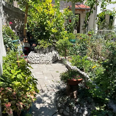 Babin Sat Apartment *